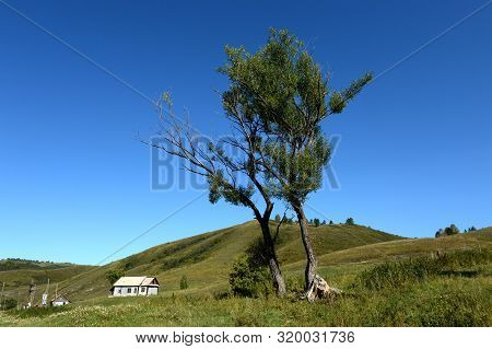 Taiga Village Generalka In The Mountains Of The Altai Territory.western Siberia. Russia