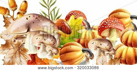 Autumn Harvest Pattern Vector. Fall Muchrooms And Fruits Decor Posters