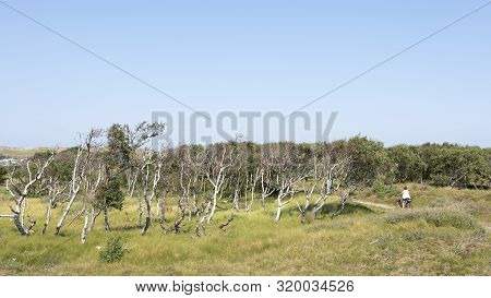 Norderney, Germany, 25 August 2019: People Enjoy Nature By Riding Bicycle On The German Island Of No