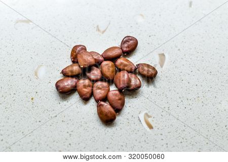 Carob Seeds And Pods Carats / Locust Beans Ready To Use.