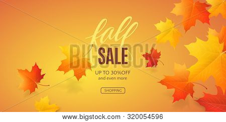 Horizontal Banner With 3d Realistic Colored Maple Leaves And Text Fall Sale On Autumn Background. Ve