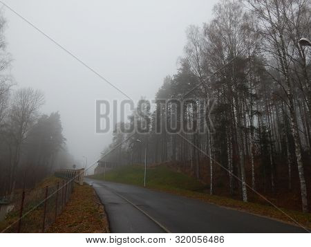 Far Foggy Road In Karelia; Leningrad Oblast