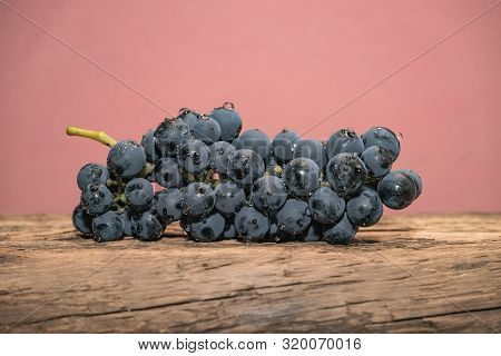 Beautiful Wine Kadarka Grapes On A Old Oak Wooden Table And Red Wall Background.