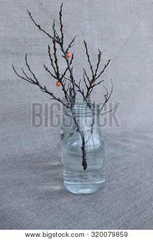 Autumn Branches Without Leaves In Glass Jars On Sackcloth Background