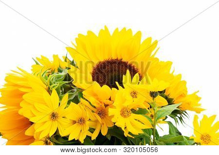 Sunflowers Fresh Flowers Bouquet Close Up Isoltaed On White Background