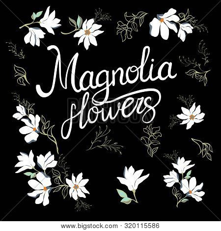 Loom Flowers Of Magnolia On Branch Isolated On White Background. Watercolor Magnolia Set.