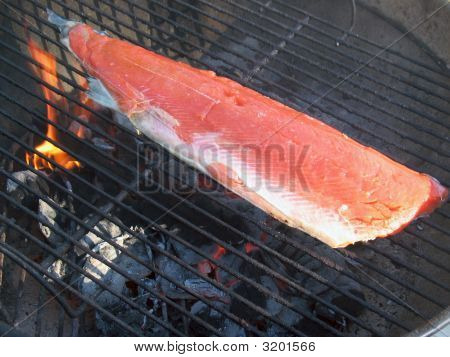 Réz folyó lazac grill