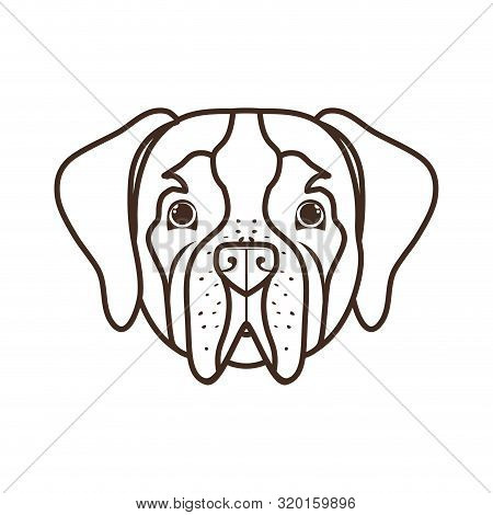 Head Of Cute San Bernardo Dog On White Background Vector Illustration Design