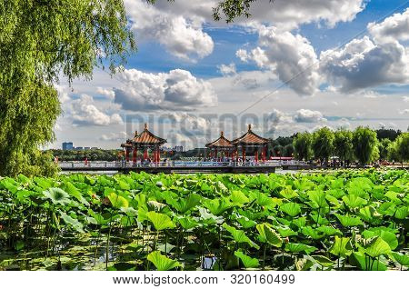 Landscape Of Nanhu Park, Changchun, China - Photographed In Changchun, China