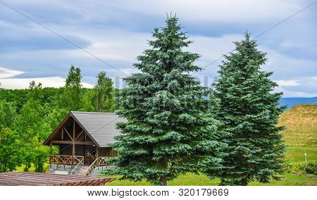 Rural House At Summer Day In Furano, Japan