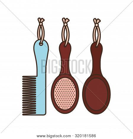 Set Of Hairbrush Combs And Hairbrushes On White Background Vector Illustration Design