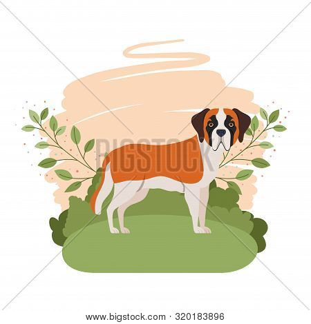 Cute San Bernardo Dog With Background Landscape Vector Illustration Design