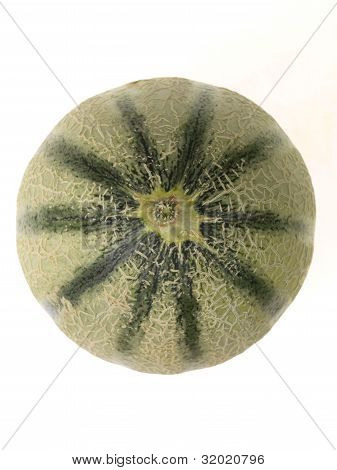 Melon kantalupa