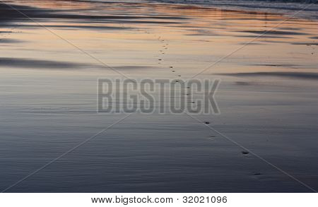 Footprints in the sand