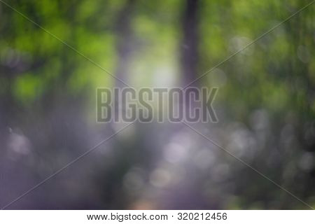 Defocused Natural Background, Calm Green Hues. Swirling Bokeh.