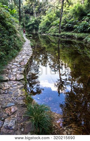 Scenery Along Way To Thac Tinh Yeu Waterfall Which Lies Within Hoang Lien National Park Near Sapa Vi