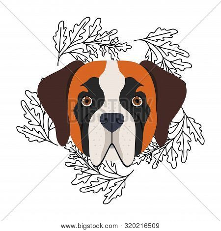 Head Of Cute San Bernardo Dog On White Background Vector Illustration Design