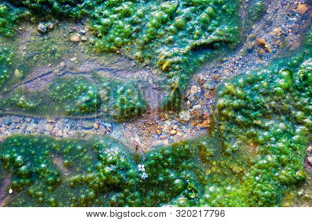 Top-down View Of A Tiny Stream, Clean Water, Colorful Pebbles, Moss Growing Alongside With Air Bubbl