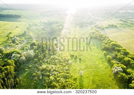 Green trees and meadow in sinrise, aerial view
