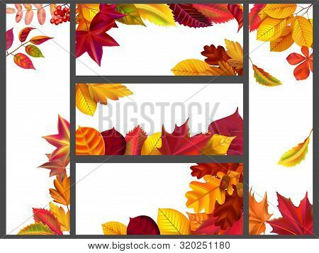 Realistic Autumn Leaves Banners. Yellow Garden Leafage, Flying Leaf And Fall Season Banner Bundle. A