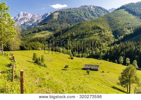 National Park Kalkalpen in Austria