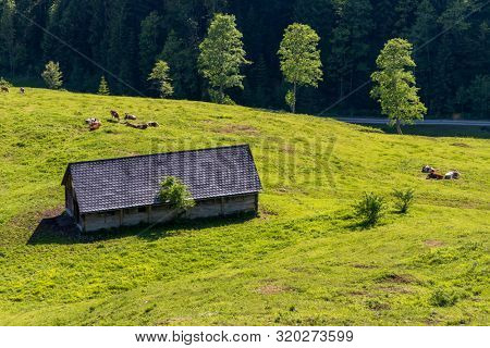 National Park Kalkalpen in Austria