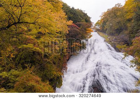 Autumn fall forest at Yudaki Falls at Nikko Tochigi Japan