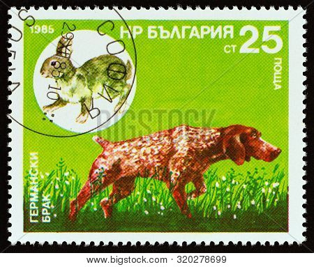 Bulgaria - Circa 1985: A Stamp Printed In Bulgaria From The 