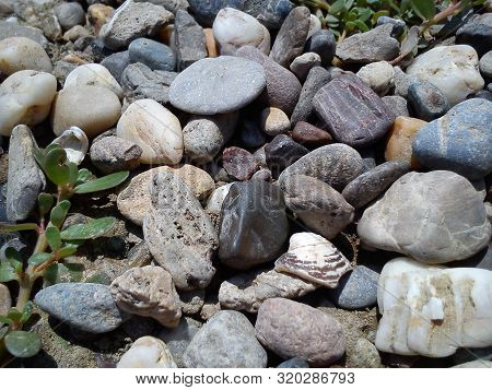 Stones Of Different Shapes And Colors On The Beach