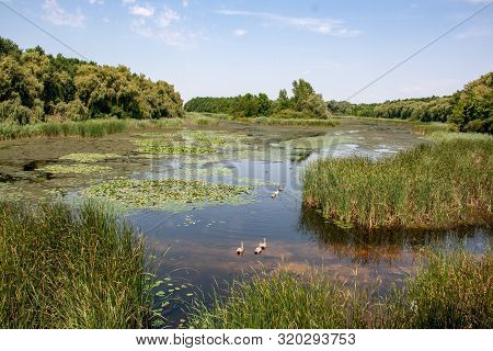Views Of Hungarian Nature Reserve Kis Balaton (little Balaton),hungary,europe