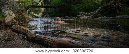 Views Of The River In The Middle Of The Forest With A Log On The Shore