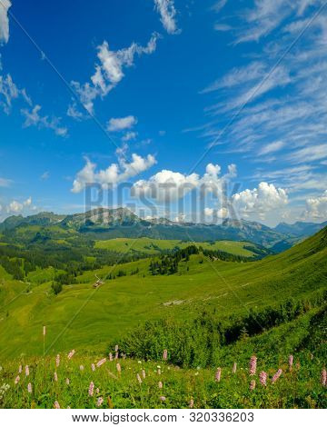 Summer time mountain panoramic landscape in Switzerland near Habkern village