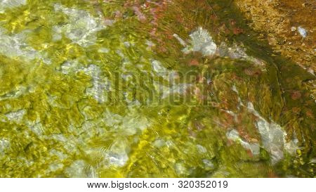 Close Up Of Yellow Cyanobacteria In Hot Water At Yellowstone