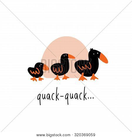 Funny Vector Illustration Of Three Walking Ducks. Phrase Quack Quack.