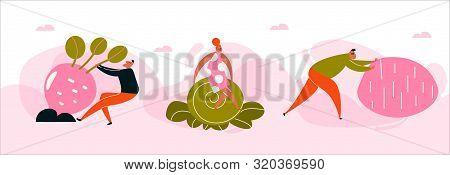 Vector Cartoon Illustration Of Harvesting People. Harvest Festival, Healthy Lifstyle Concept. Web Ba