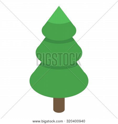 Green Fir Tree Icon. Isometric Of Green Fir Tree Vector Icon For Web Design Isolated On White Backgr