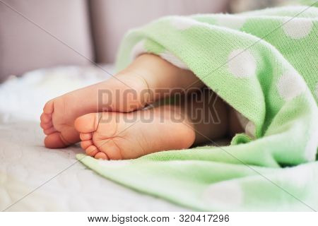 Little Baby Legs Wrapped In Mint Blanket
