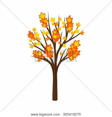Silhouetted By Autumn Maple. Vector Illustration On A White Background.