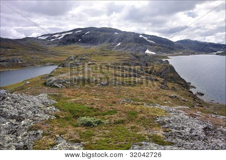 Hardangervidda นอร์เวย์