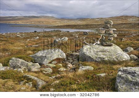 Hardangervidda นอร์เวย์