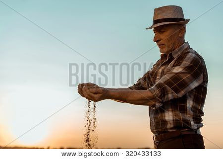 Self-employed Senior Farmer In Straw Hat Sowing Seeds In Evening