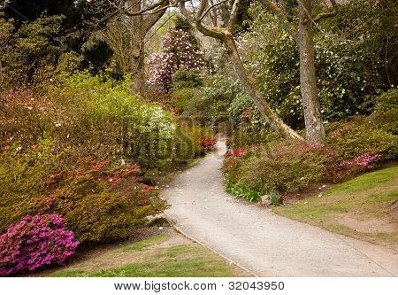 เส้นทางสวนระหว่างเรียบของ Azaleas