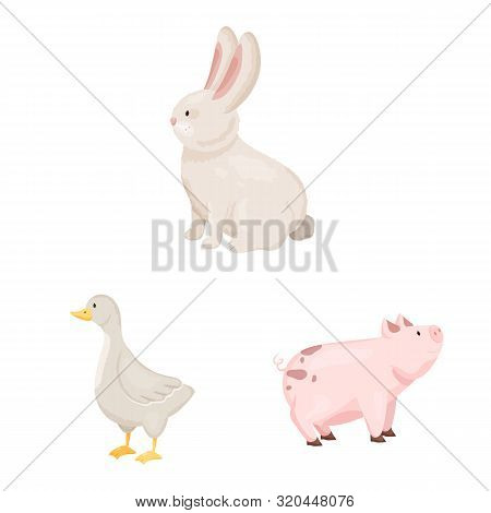 Vector Design Of Farm And Food Sign. Collection Of Farm And Countryside Vector Icon For Stock.