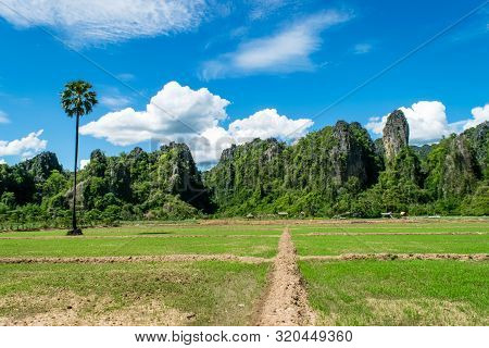 Rice Farm With Limestone Mountain Range At Noen Maprang , Phitsanulok Province In Thailand