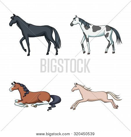 Vector Design Of Animal And Stallion Sign. Set Of Animal And Farm Vector Icon For Stock.
