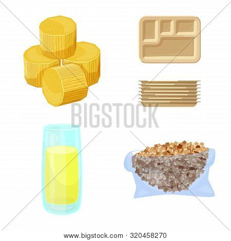 Vector Design Of Sugarcane And Cane Symbol. Set Of Sugarcane And Field Vector Icon For Stock.