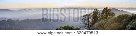 Summer Views Of Santa Cruz Mountains, Mindego Hill And The Pacific Ocean Covered With Fog At Sunset.