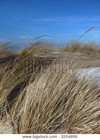 Grass Beach v zimě