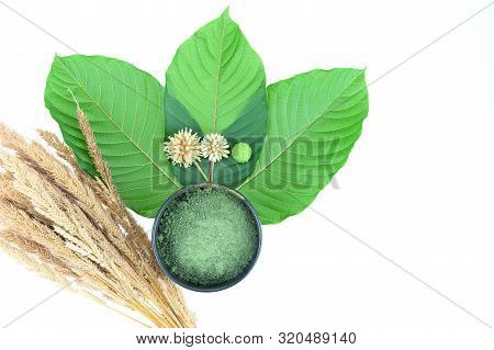 Mitragynine. Drugs And Narcotic