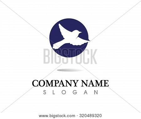 Vector - Vector Sign Abstract Bird In Flight Rooster And Chicken